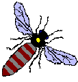 Biene