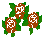 Rosen